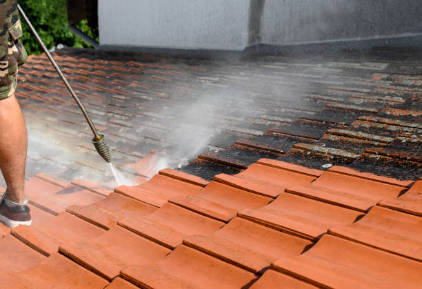 Best Exterior Home Cleaning  in Walkertown, NC
